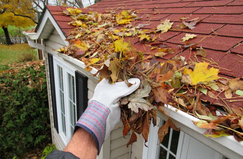 Gutter Inspection